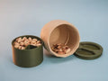 Geometric Snack Container with Shell Compartment